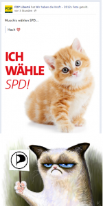 FDP-SPD-PP